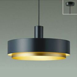 黒 ダイコー製ペンダントライト DPN-41413Y DA-0281W-BK