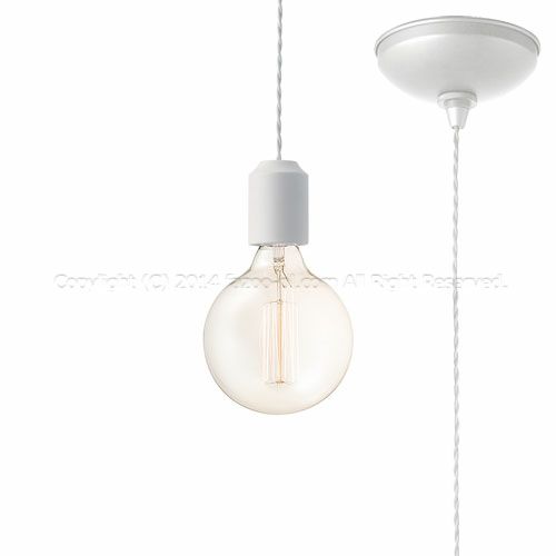 ホワイト 60WΦ12cmボール型カーボン電球 アートワークスタジオ製ペンダントライト AW-0480Z(WH)＋BU-1151 AW-0690E-WH