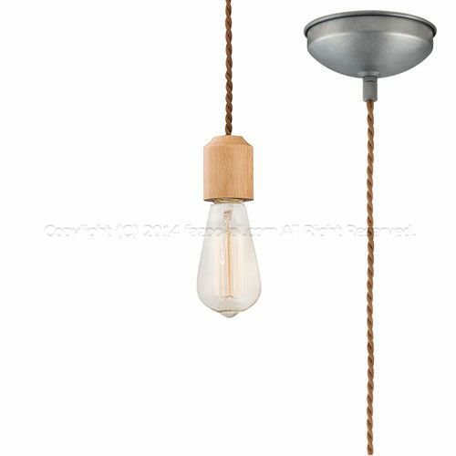 ビーチ 60Wカーボン電球 アートワークスタジオ製ペンダントライト AW-0416Z(BC)＋BU-1149 AW-0701E-BG