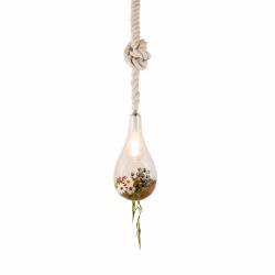 LED ペンダントライト APE-700NA スワン電器　BOTANIC ボタニックカフェ 3ペンダントライト | セレクトショップ・AQUA